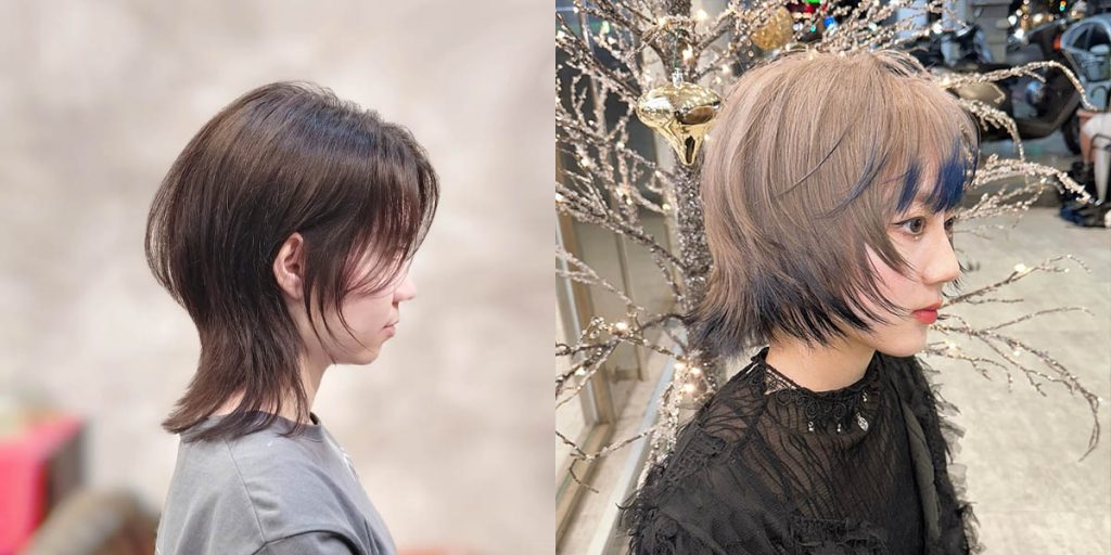 外翹蓬鬆狼尾頭